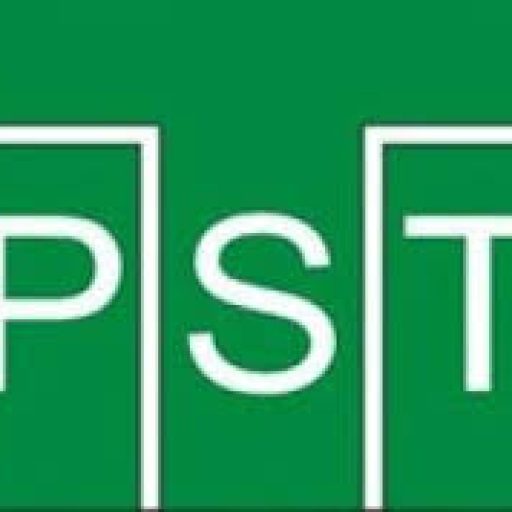 پیچش سیم توس